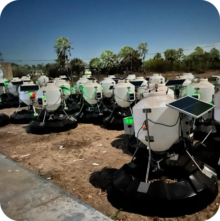 Equipamentos autônomos em operação no cultivo de camarões